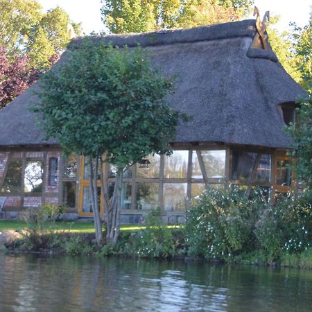 Reetdachkate Auf Gestuet Schierensee Grebin Экстерьер фото